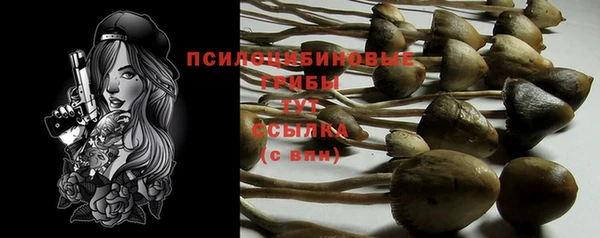mix Каменка