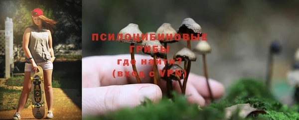 бошки Каменск-Шахтинский