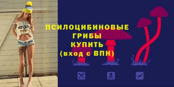 бошки Каменск-Шахтинский