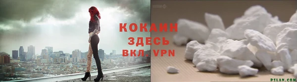 МДПВ Каменногорск