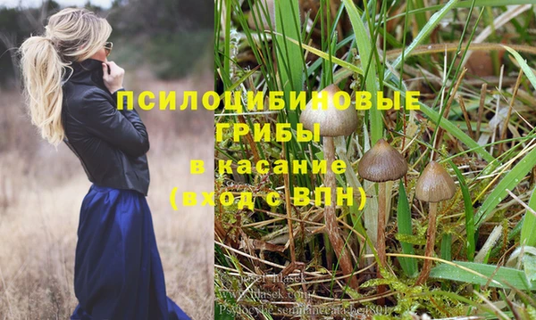 МДПВ Каменногорск