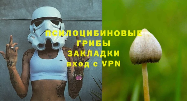 МДПВ Каменногорск