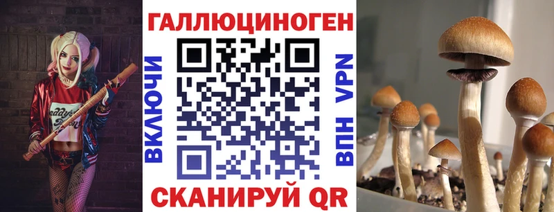 Галлюциногенные грибы GOLDEN TEACHER  Чёрмоз 